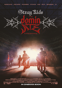 Stray Kids: The DominATE Experience